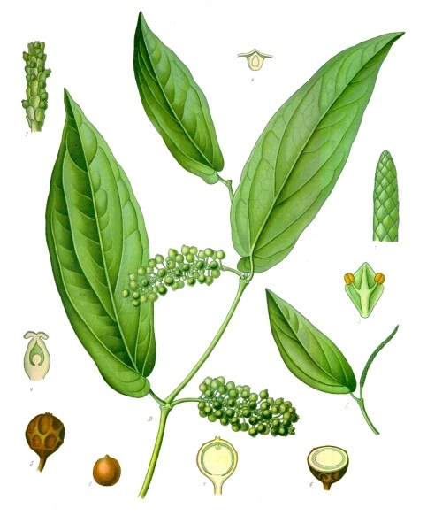 pimienta cubeba en granos